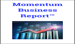 Business Advisory Report
