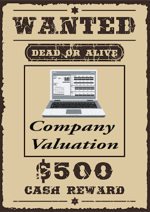Company Valuation Report